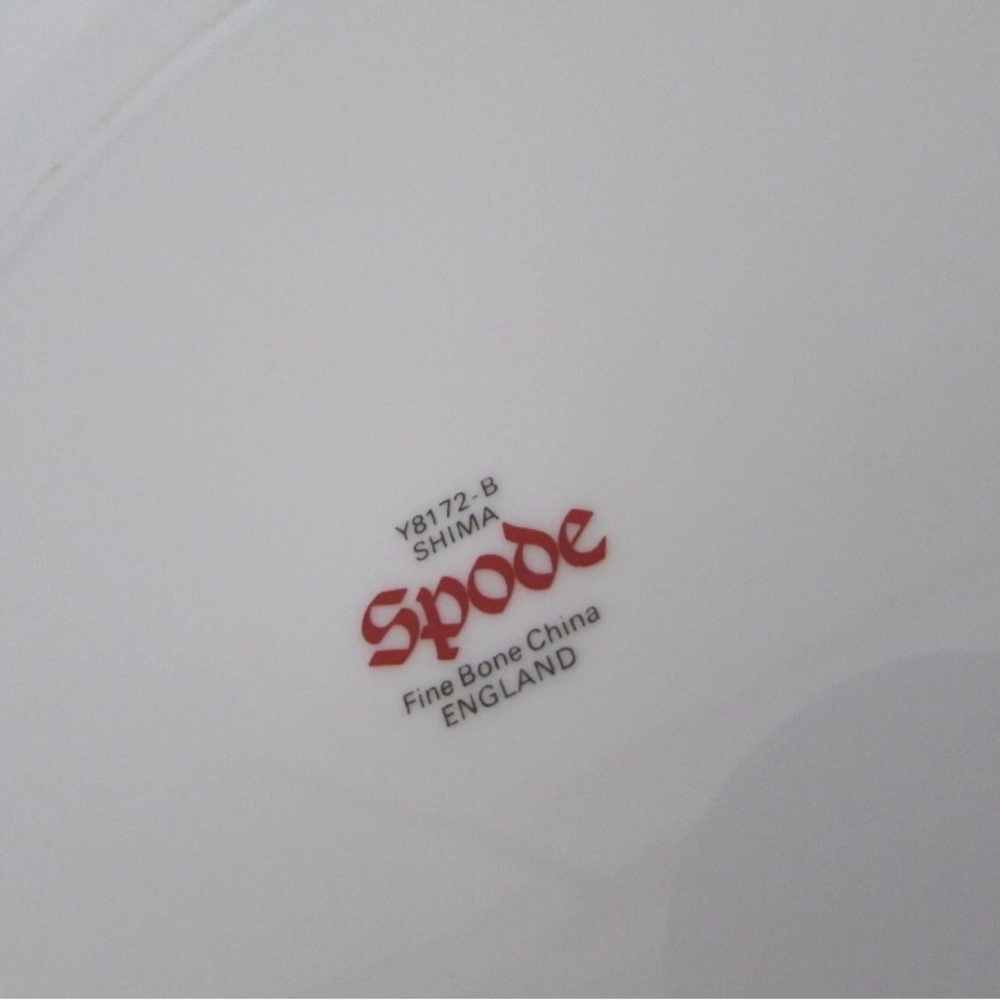 Set of 4 Spode Shima Bone China Luncheon Plates 9 1/4 Y8172-D - Picture 6 of 8
